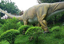 自贡为什么会被称为“恐龙之乡”？