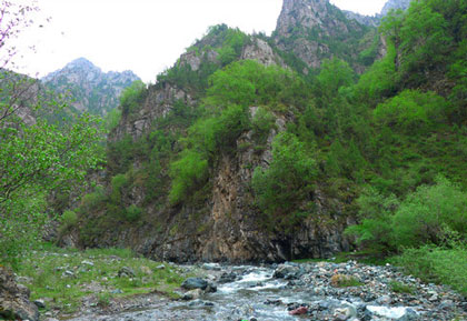 察汗河国家森林公园