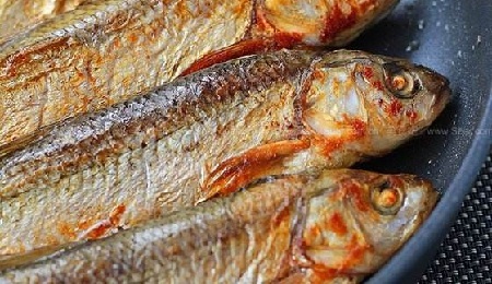 達里湖華子魚
