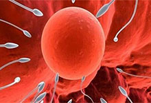 精子存活率低怎么办 如何提高精子质量