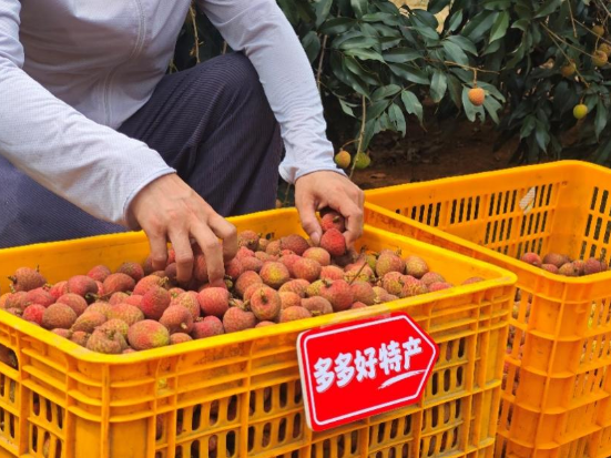 拼多多最新财报：利润下跌近4成，“千亿扶持”惠商投入远超市场预期