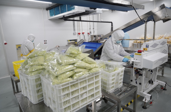 海归学霸卖爆沙拉轻食，借力拼多多“千亿扶持”打造带动就业新样本
