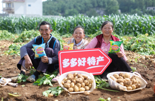 千亿巨资“输血”产业生态！拼多多发布二季度财报：舍短期利益与商家共赴高质量发展