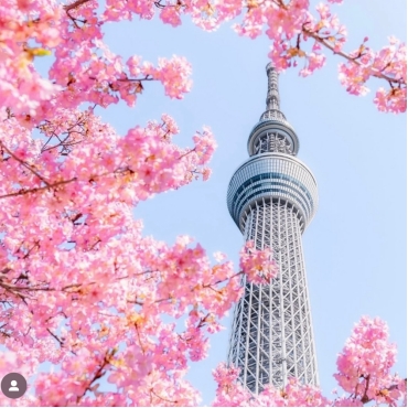 日本东京夜景浪漫指南：从经典地标到隐秘胜地