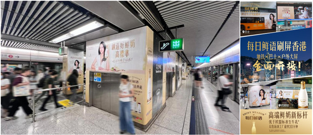 每日鲜语：创造好鲜奶高标准 高速增长领先行业
