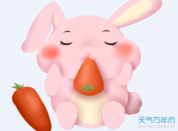 wnl_pc