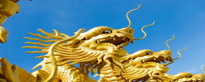 属龙什么时辰出生好 属龙的几点出生有福气