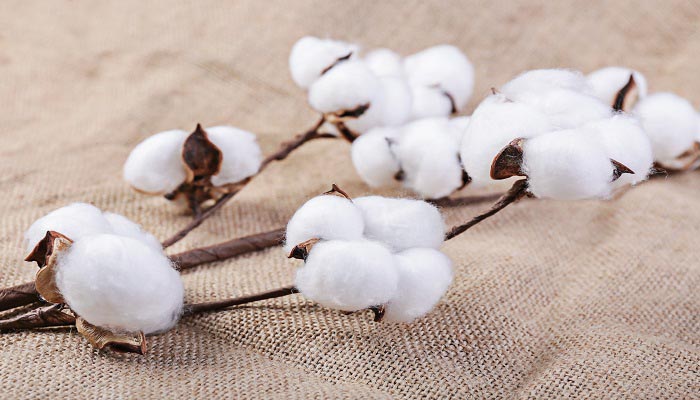 纯棉面料有哪些优点 纯棉面料的优点介绍 