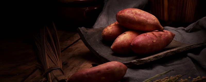 红薯为什么发紫色的芽 红薯有紫色的芽