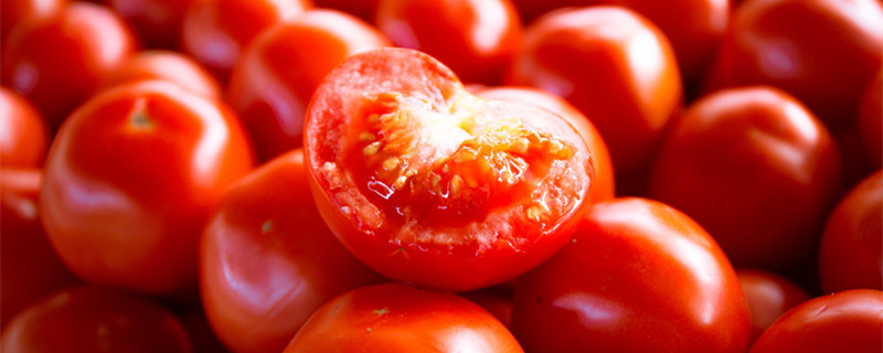 番茄是不是西红柿 番茄是西红柿么