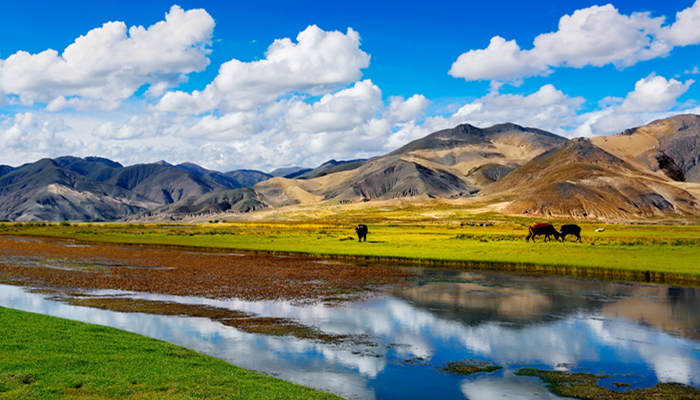 西藏海拔多高 西藏被称为什么