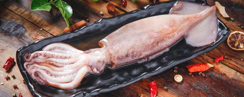 小管和鱿鱼的区别大管和小管鱿鱼的区别笔管和鱿鱼的区别