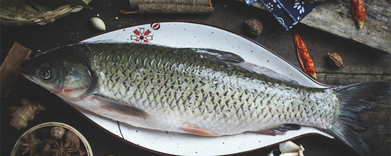 龙鳕鱼可不可以吃龙鳕鱼能吃吗