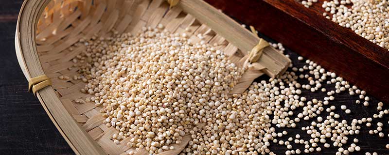 藜麦的功效与作用 藜麦的功效与作用有哪些