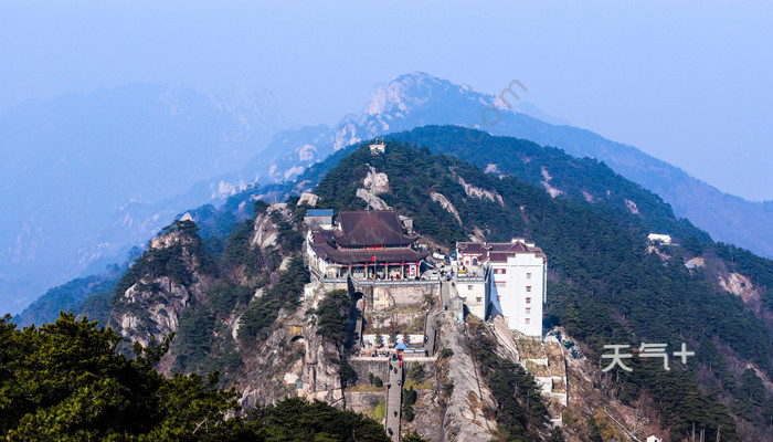 tqjia