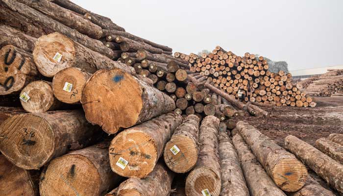木头材质有哪gogo体育些？