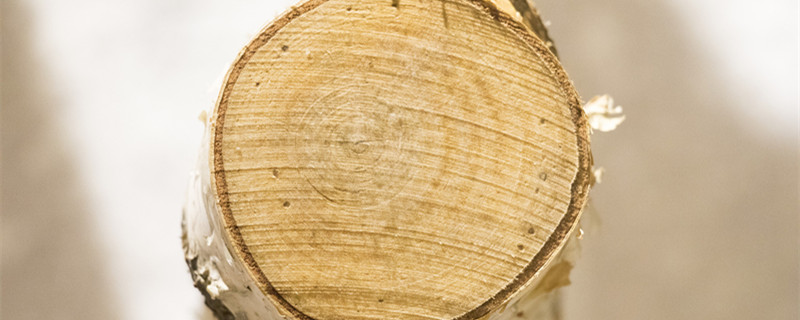 碳化木是什么意思 碳化木是什么木材