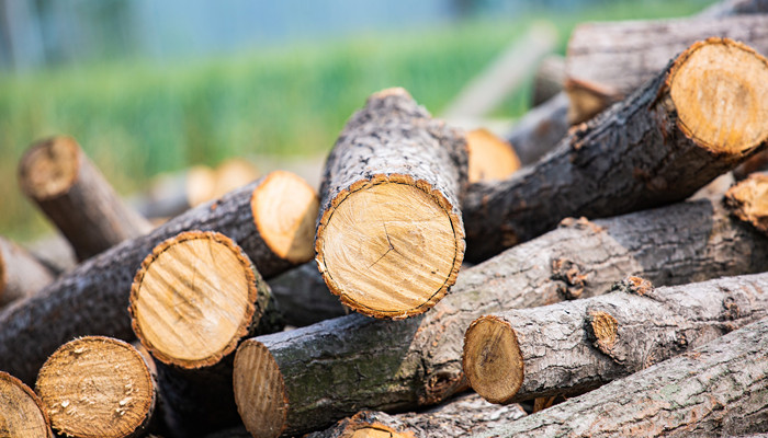 碳化木是什么意思 碳化木是什么木材