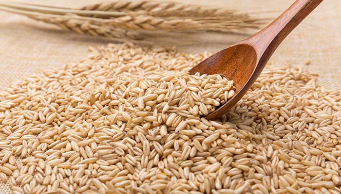 燕麦米的功效与作用 燕麦米的功效与作用有哪些