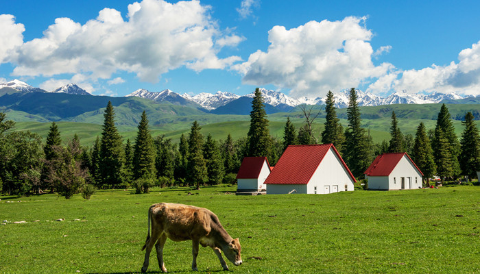 南山牧场海拔多少米高南山牧场海拔多少