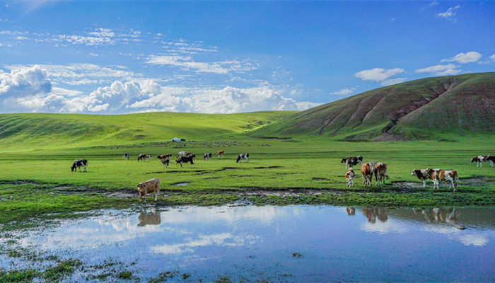 新疆喀什地区属于哪个市 新疆喀什地区是属于哪个市