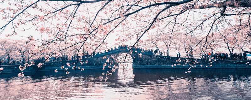 地址:横塘镇横越路47号上方山国家森林公园,观赏地点:和平园;2,穹窿