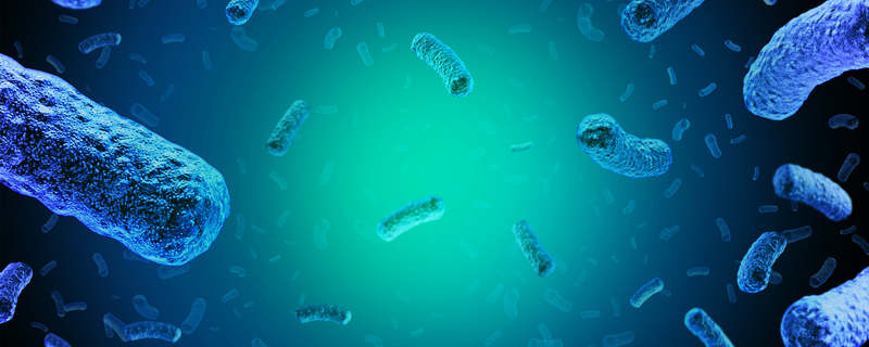 乳酸菌是细菌还是真菌 乳酸菌是细菌还是真菌是真核还是原核 