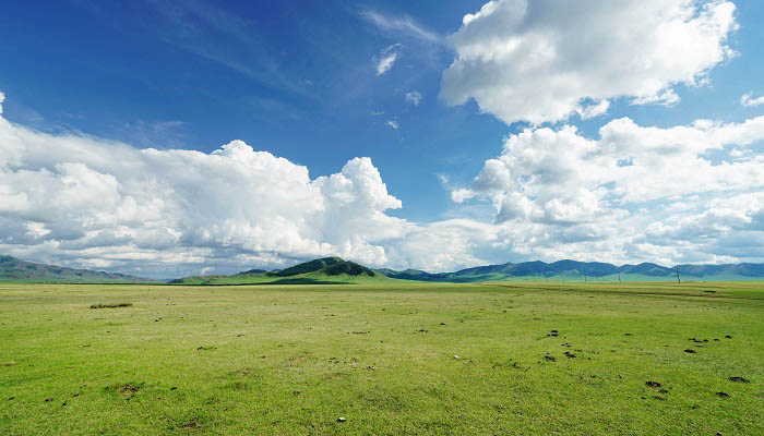 中国最大的草原是哪个草原