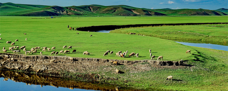 中国最大的草原是哪个草原