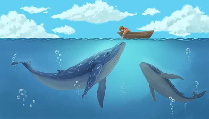 鲸身上的藤壶对鲸鱼是否有害