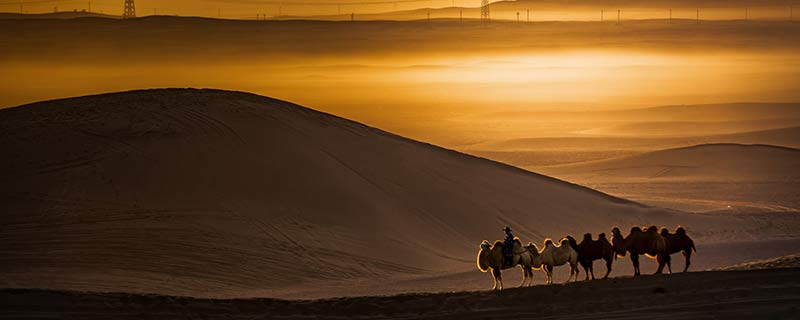 世界最大的沙漠 世界最大的沙漠是什么