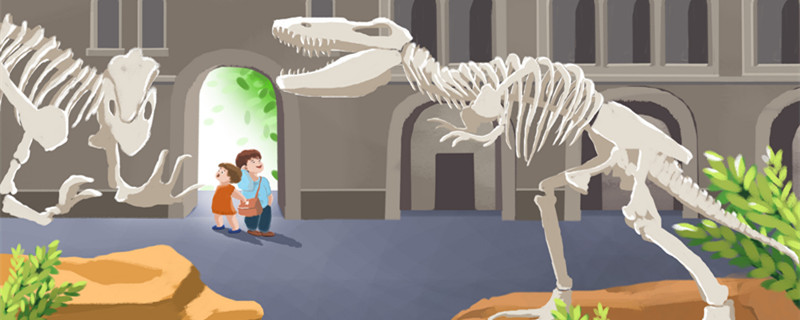 最大的恐龙是什么龙 最大的恐龙是什么