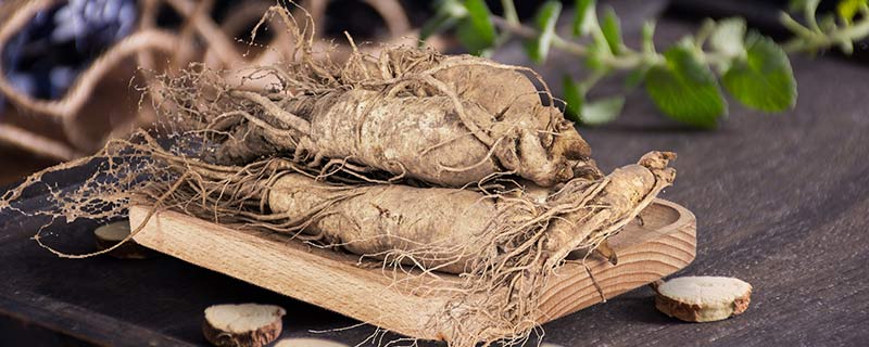 树参是什么什么是树参