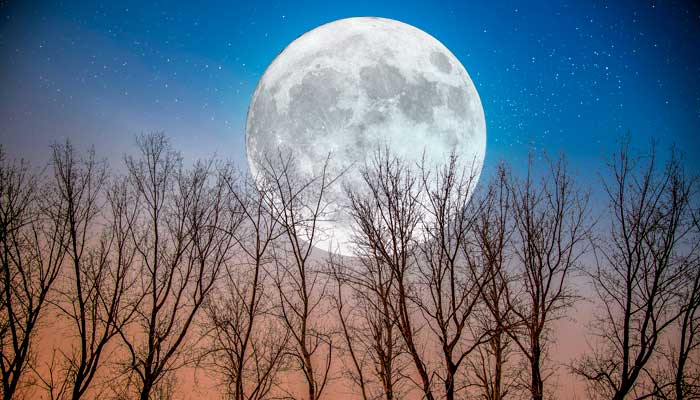 网络用语白月光是什么意思 白月光的意思