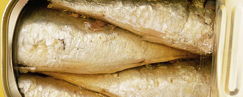 鲱鱼罐头是生的还是熟的 鲱鱼罐头属于生的还是熟的