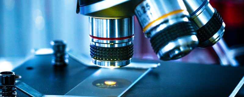 亲子鉴定都需要提供什么亲子鉴定需要提供些什么