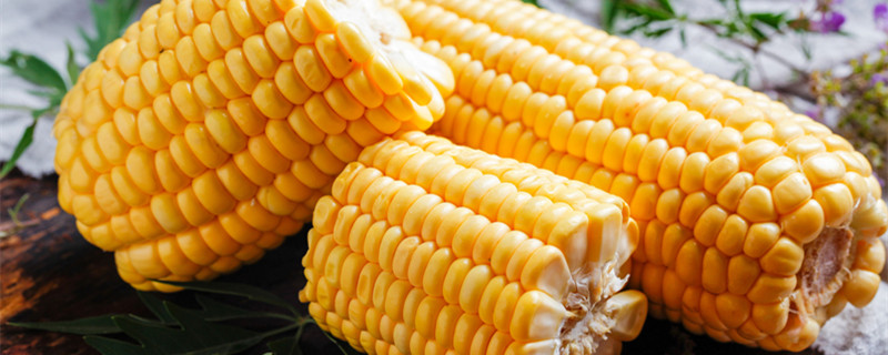 玉米煮多长时间 玉米煮多长时间能煮熟