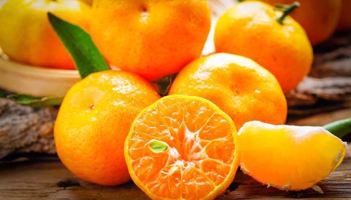 砂糖橘是什么梗 砂糖橘的梗是什么意思