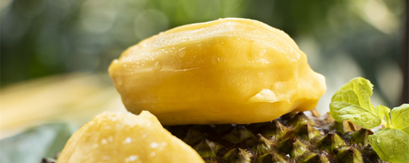 菠萝蜜是发物吗 菠萝蜜属于发物吗