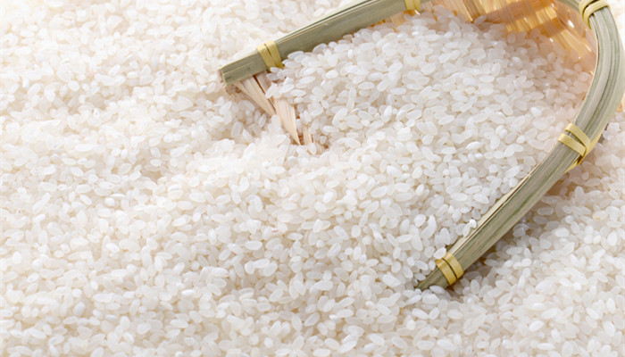 大米是凉性还是热性 大米是凉性的吗还是热性的