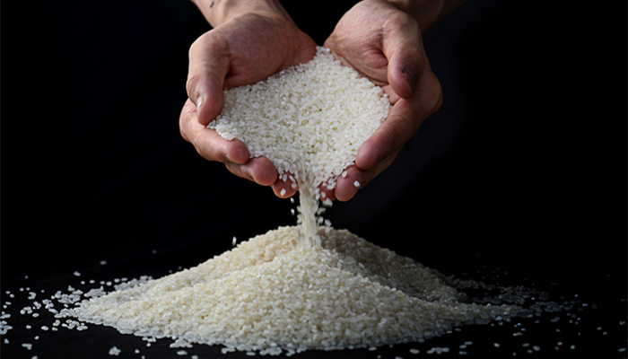 大米怎么样储存不生虫 大米怎么储存不易生虫