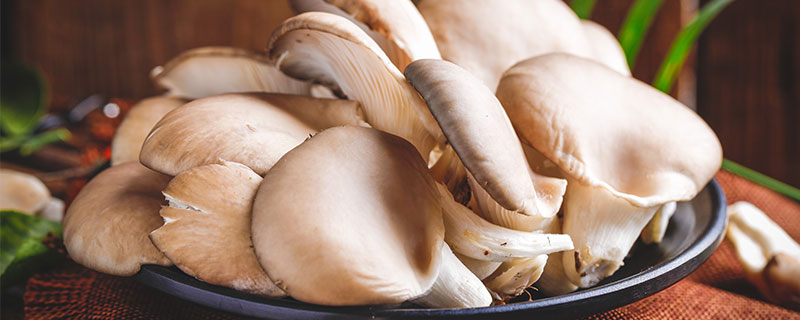 平菇种植最简单的方法 平菇的养法