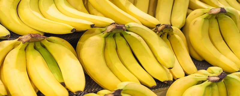 香蕉1.jpg