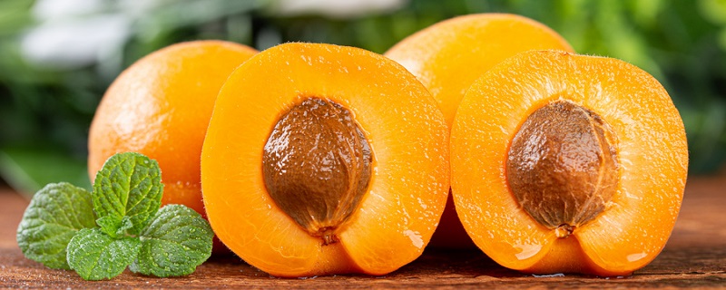 杏子成熟的季节是几月 杏子什么季节能吃