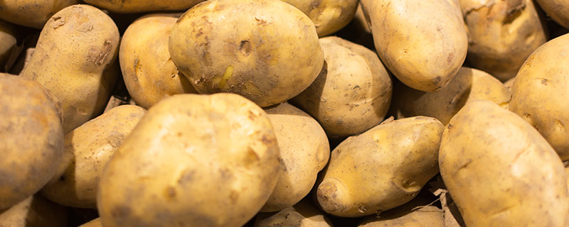 出芽的土豆可以吃吗有毒吗 土豆发芽还能吃吗有毒吗