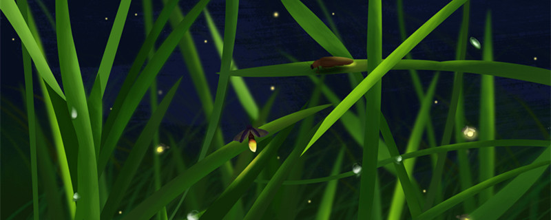 萤火虫的食物是什么 萤火虫为什么会发光