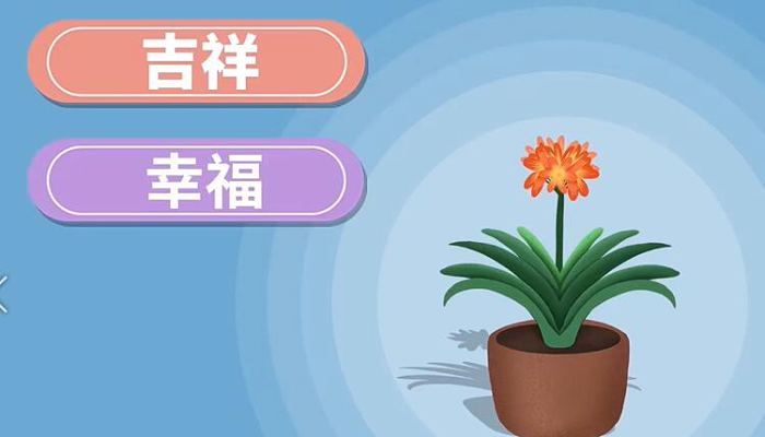 父亲节送什么花 中国象征父亲的花