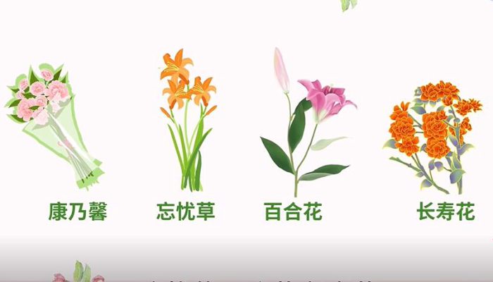 母亲节送什么花 这些花让你表达爱和感谢