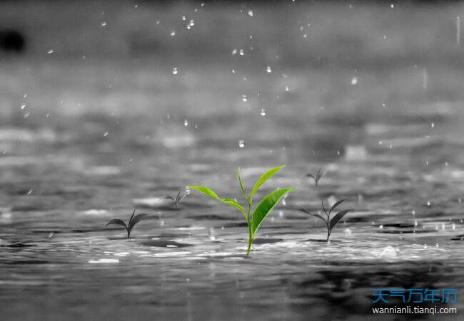 雨天正能量的句子 雨天短句暖心話正能量