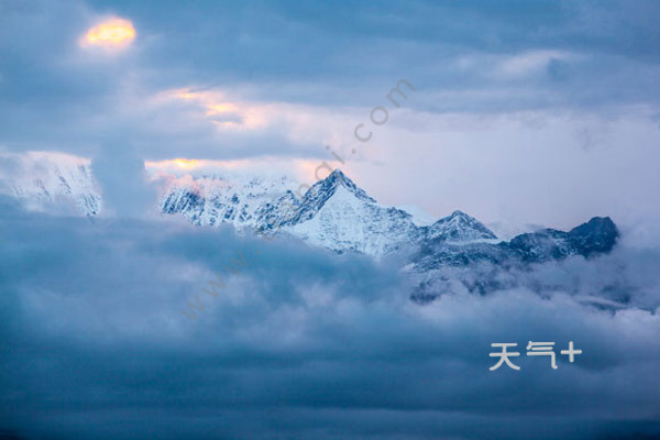 tqjia